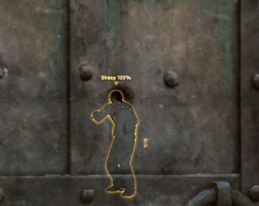 counter-strike-global-offensive-cheater_2757825.jpg