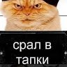 ZHS_SH