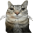 pipiska